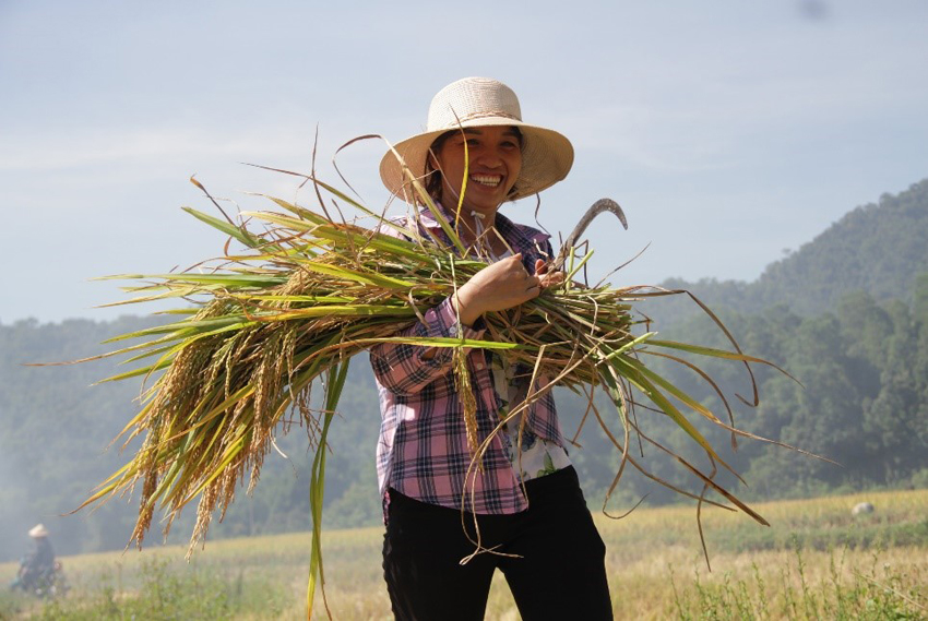 Phê duyệt Dự án Làng sinh thái nông nghiệp bền vững, sản xuất sạch và an toàn