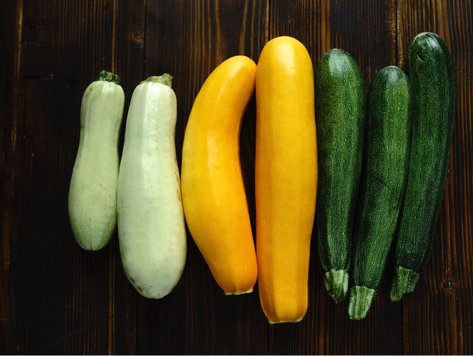 what's the difference between squash and zucchini