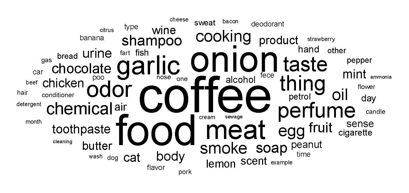 Word cloud of nouns used to describe triggers of parosmia, with size representing word frequency across 375 parosmics.