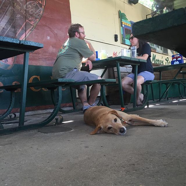 Photo by Tycoon Flats on September 09, 2016. Dog-Friendly restaurant in San Antonio, Tx