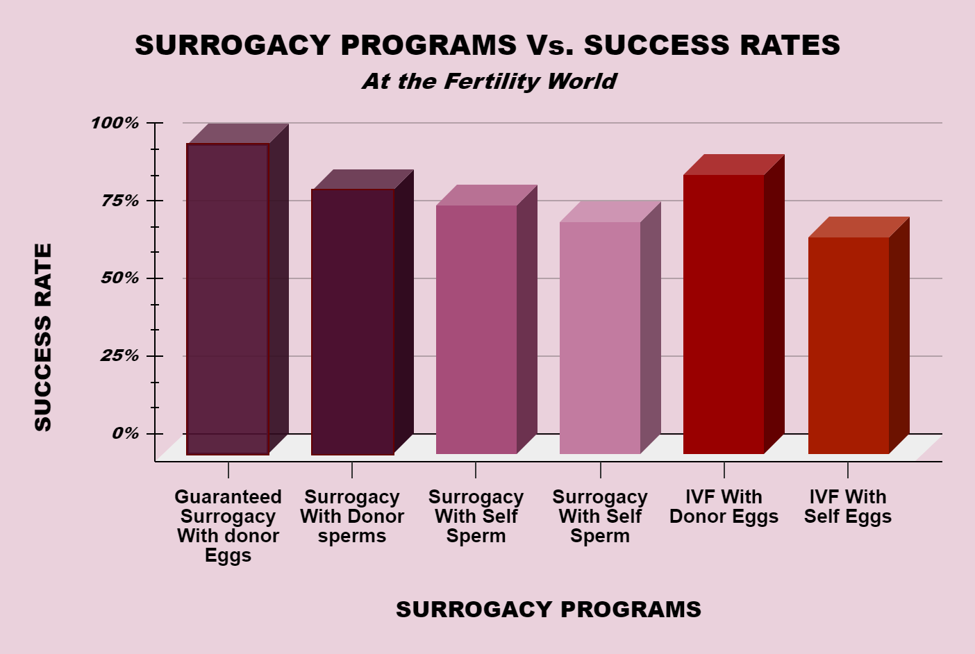 Surrogacy Success Rates in Thailand