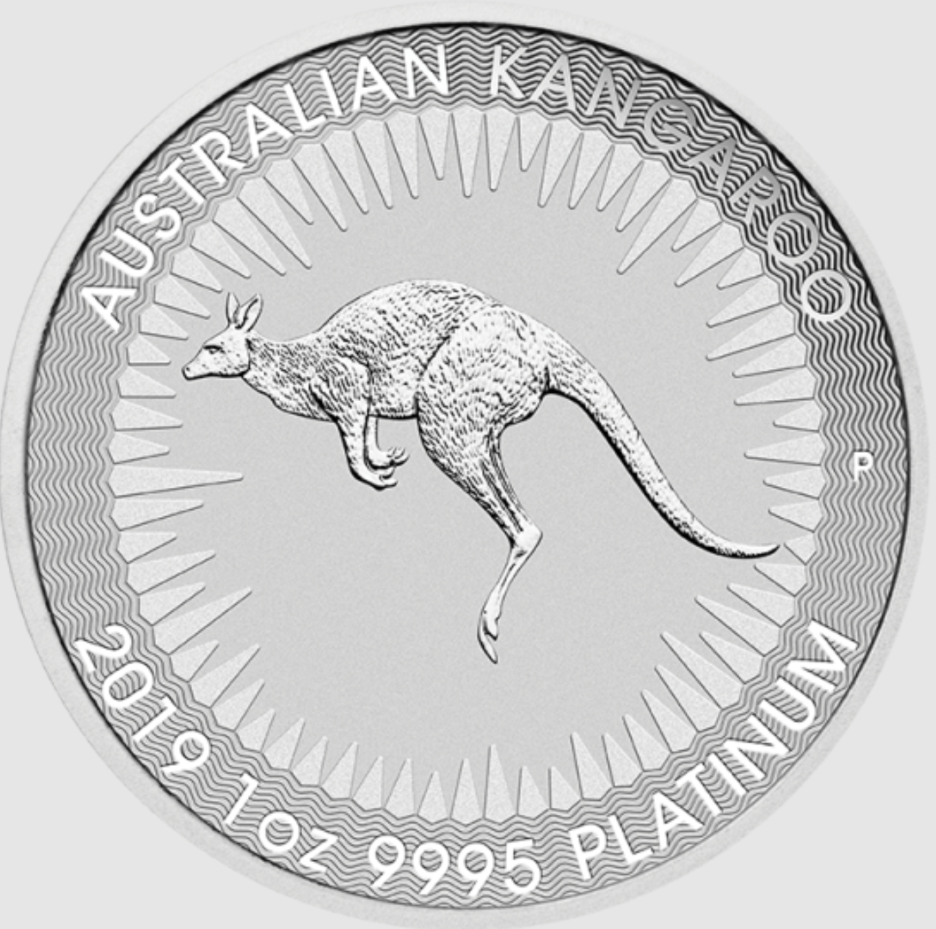 platinum australian kangaroo