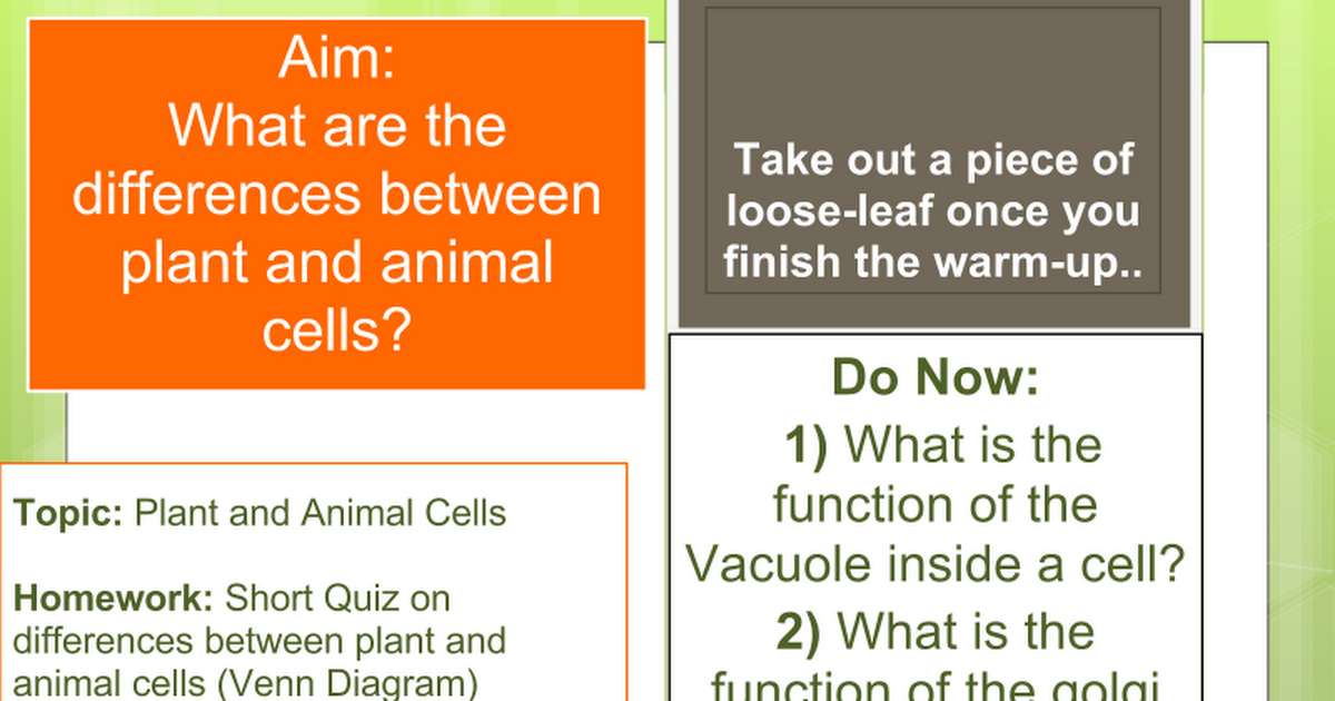 Animal cells v plant cells - Google Slides
