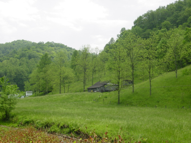 A weathered wooden home on a slope of surrounding green hills. 