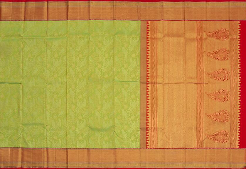 A handloom Kanchipuram silk saree shows parrots nestling and playing among flowering vines, and is a lovely choice for a bridal saree. 
