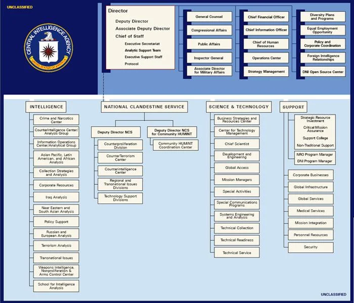 https://www.tadviser.ru/images/9/95/Cia_org_chart_2009_may_14.jpg