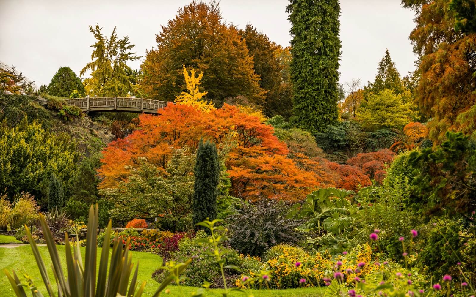 Queen Elizabeth Park Autumn Colours