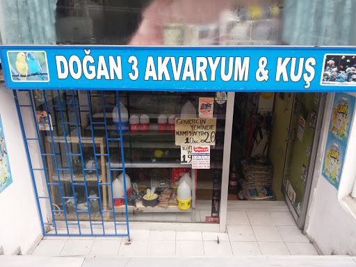 Doğan 3 Akvaryum & Kuş | Avcılar İstanbul - Evcil hayvan mağazası
