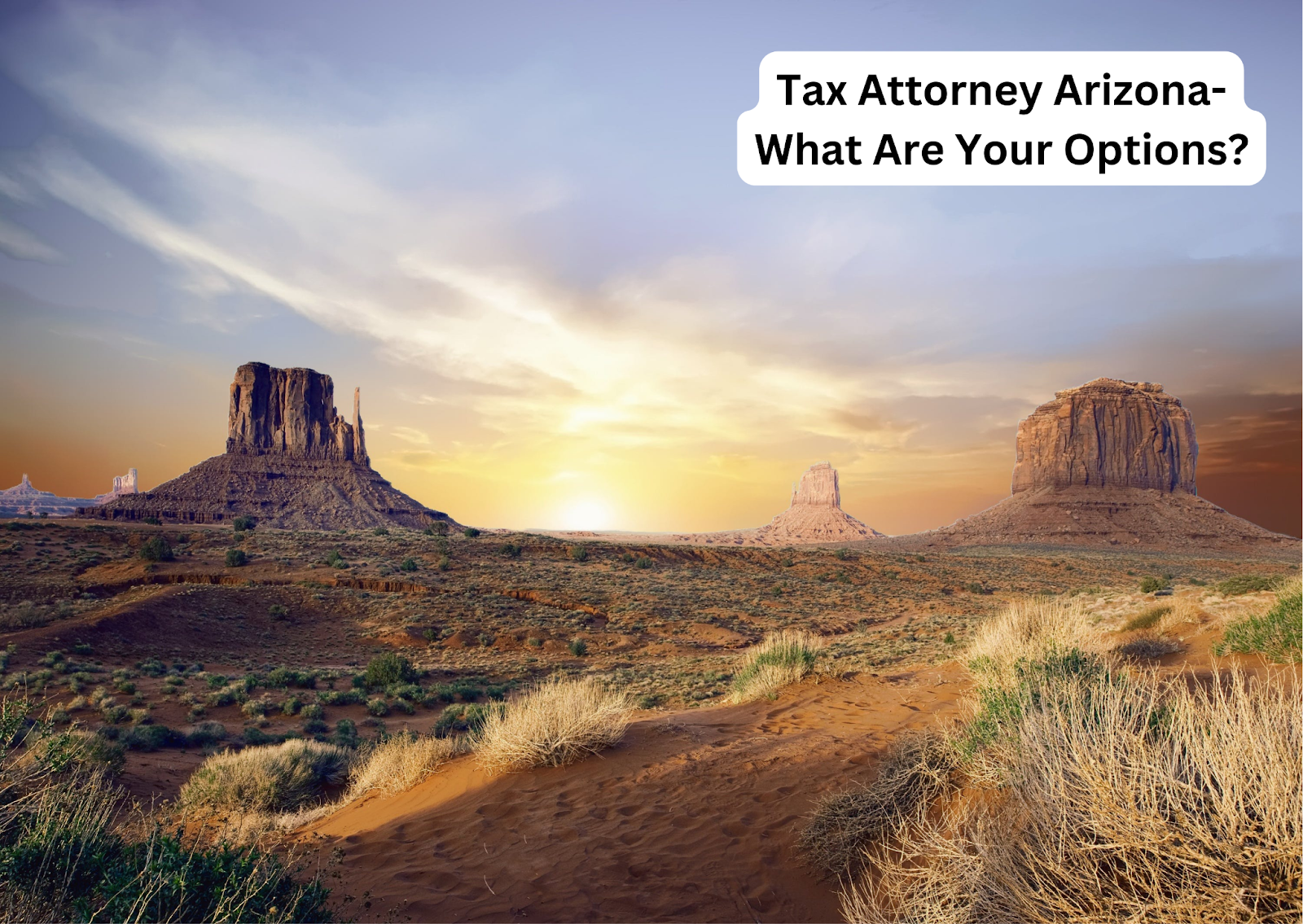 Tax Attorney Arizona- What Are Your Options?