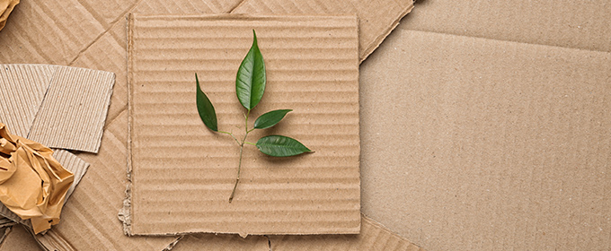 Stratégie de développement durable