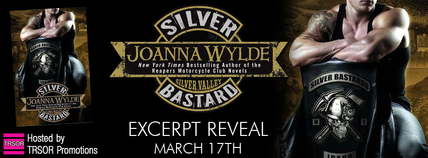 silver bastard excerpt reveal.jpg