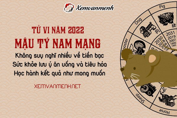 tu-vi-tuoi-mau-ty-nam-2022-nam-mang-2008