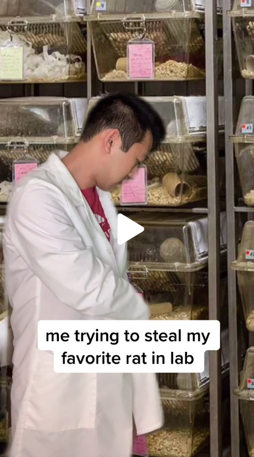 Студент Университета Техас пытается украсть лабораторную крысу в тик-ток