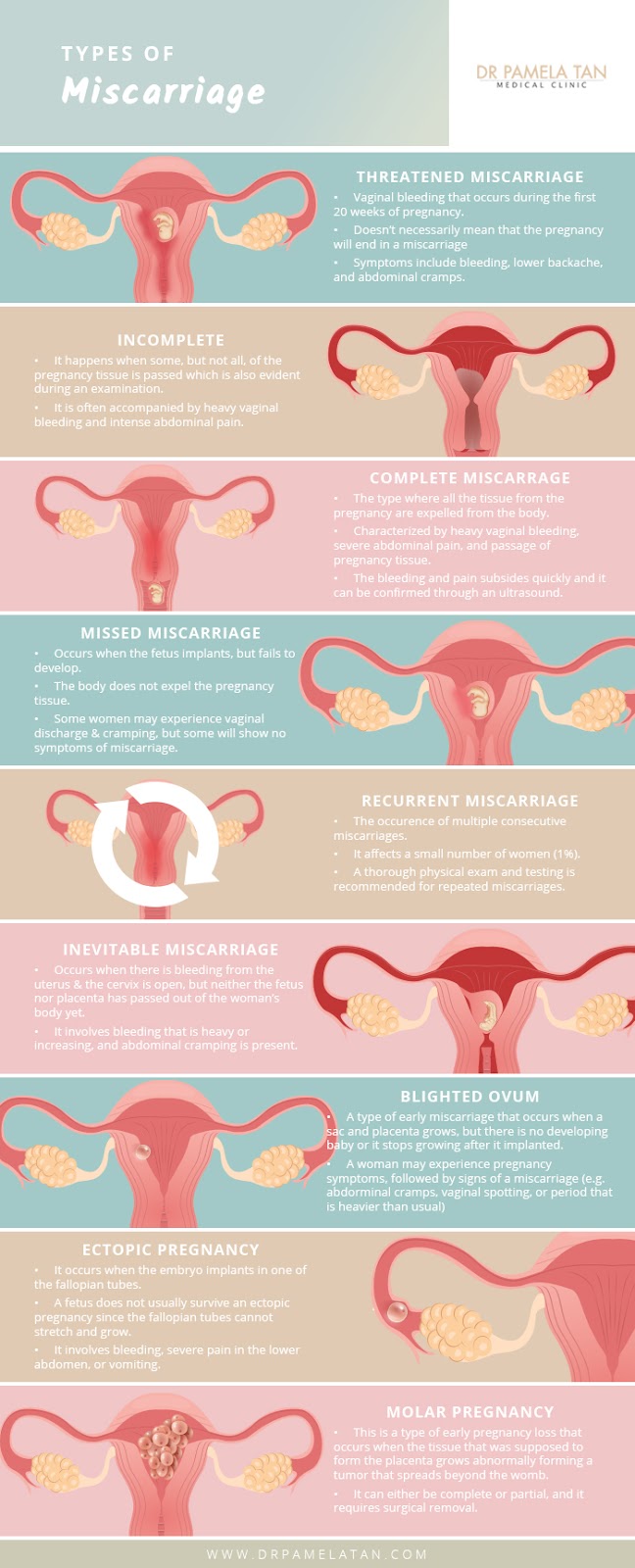 A Mother’s Guide to Miscarriage and Moving On Dr Pamela Tan(08)