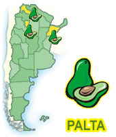 PALTA ARGENTINA.jpg