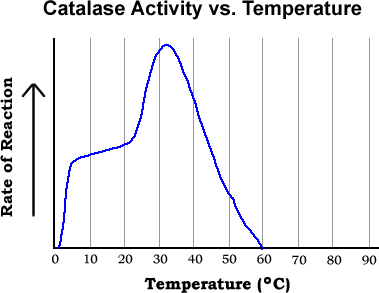 Chart, histogram

Description automatically generated