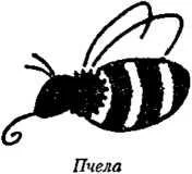 D:\0 wd yedek\acr yedek\1 film indirme\encyclopedia_symbols_roshal\encylopedia_files\000022.jpg