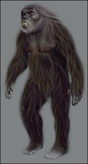 Fullbody.jpg