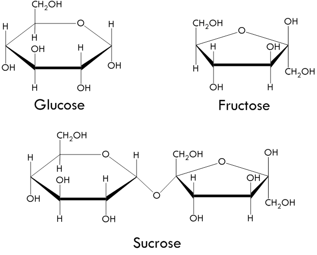 Image result for sugar glucose and fructose