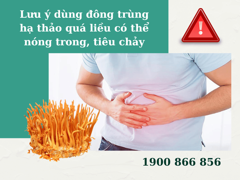 uống đông trùng quá liều gây nóng trong