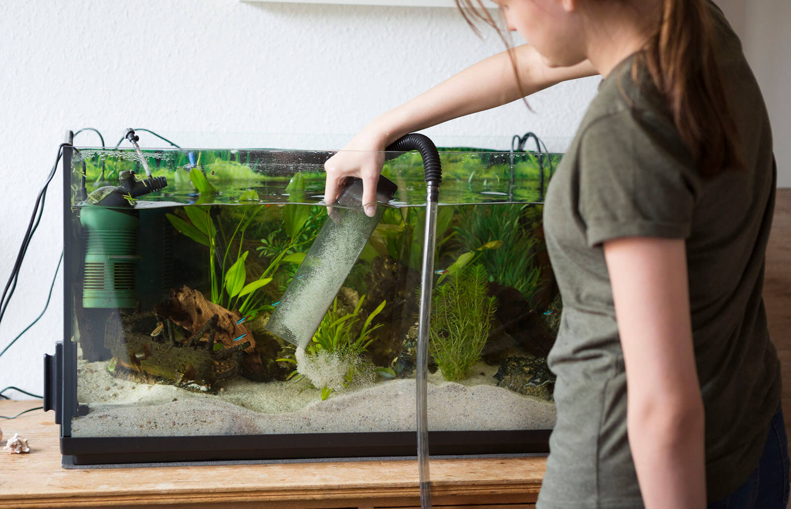 Significance of Cleaning a Fish Tank