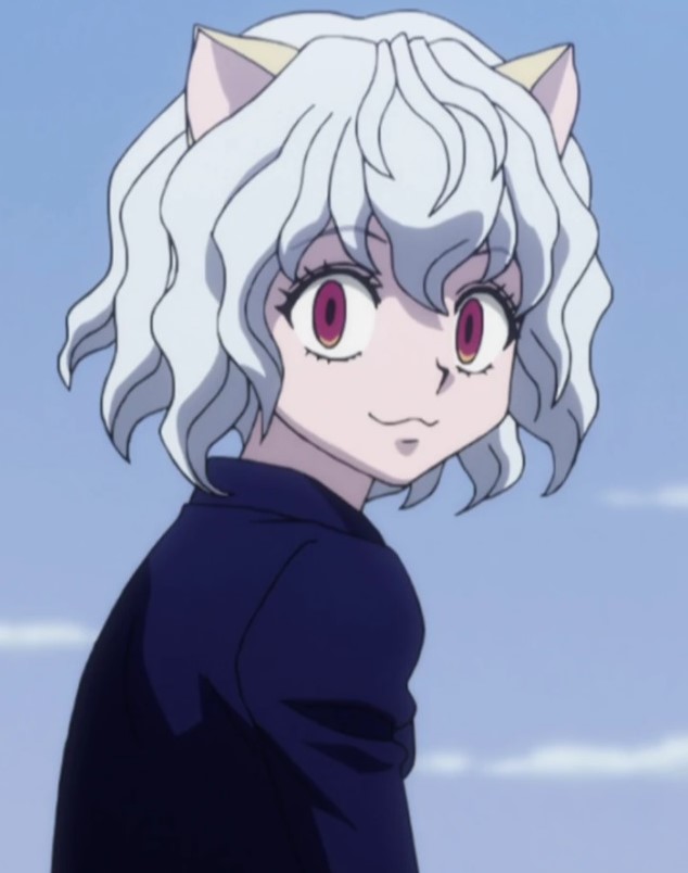 
most attractive hxh characters