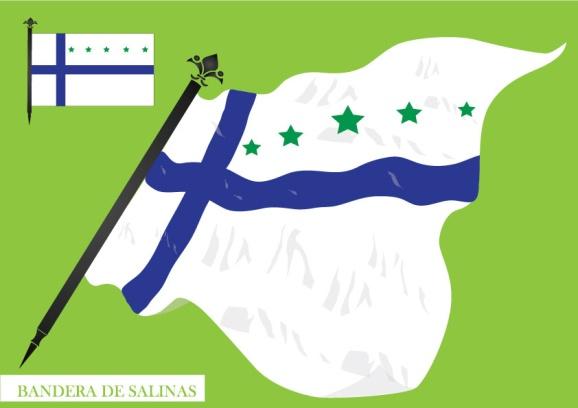 C:\Users\Paticio\Desktop\BANDERA-DE-SALINAS.jpg
