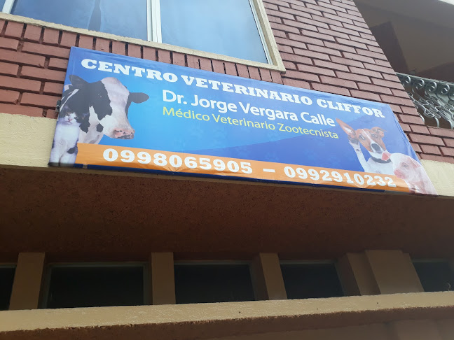 Centro Veterinario Cliffor