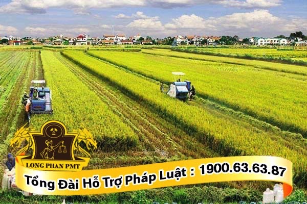 Giải quyết tranh chấp đất chuyển nhượng có mồ mả