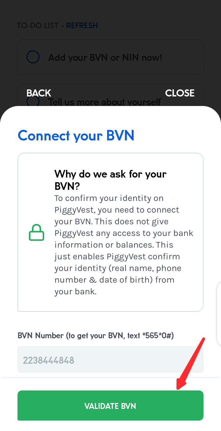 BVN verification