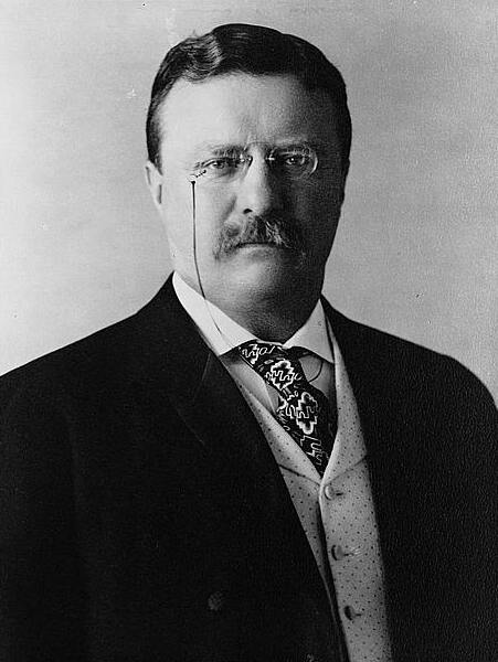 Image result for theodore roosevelt