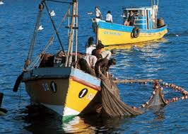 Resultado de imagen para pesca en españa