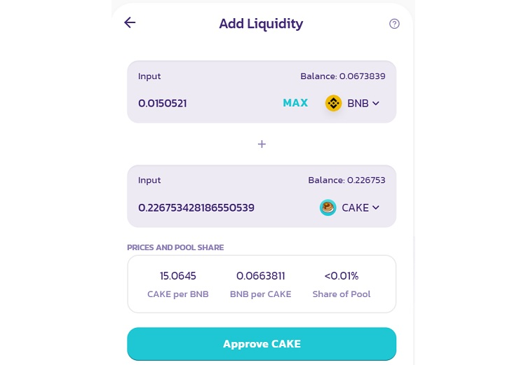 connect Metamask to PancakeSwap