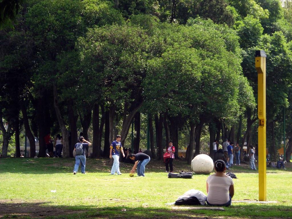 Personas en un parque

Descripción generada automáticamente