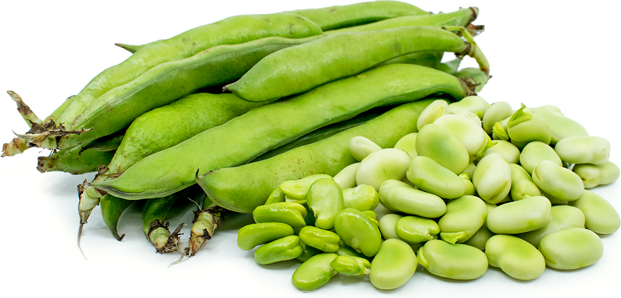Image result for broad beans