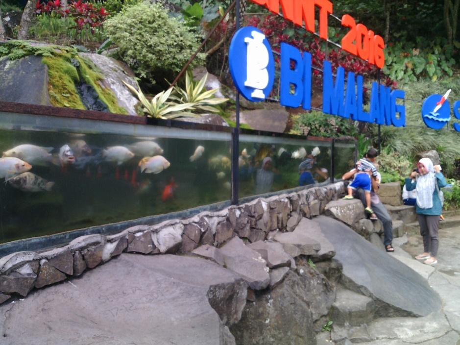 G:\malang\IMG20161008111042.jpg