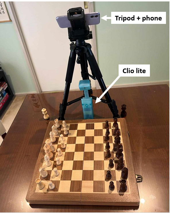 Image of The position of Chinese chess pieces at the beginning of