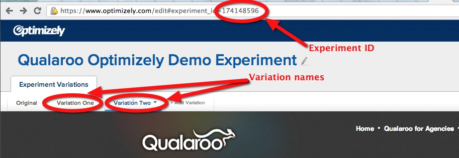 Optimizely Experiment ID
