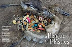 A Plague of Plastics