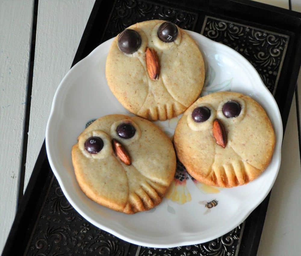 Owl cookies on a white plate.