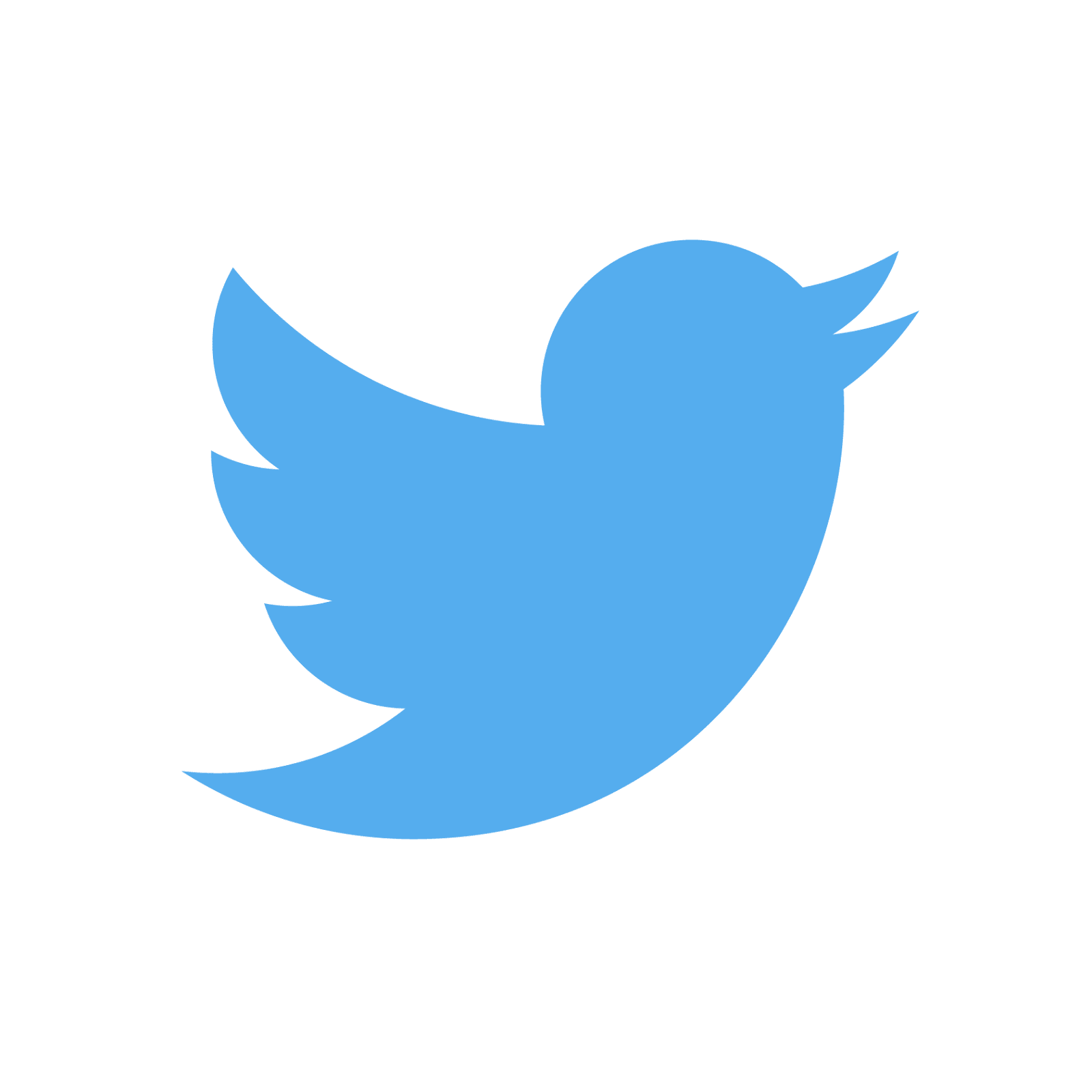 Image result for twitter logo