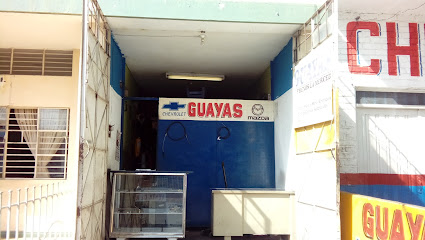 Guayas Y Frenos