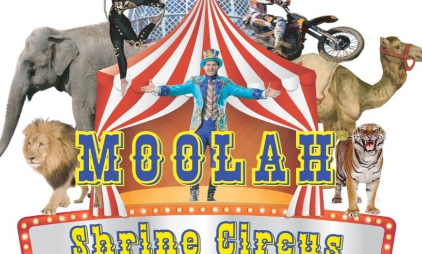 moolah shrine circus st charles