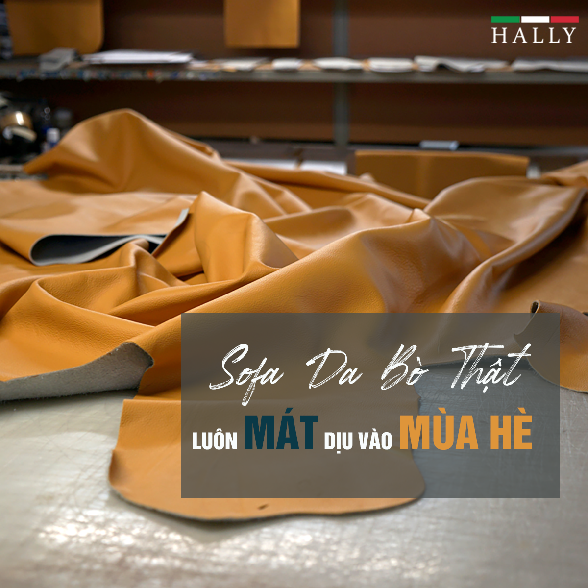 D:Thảo 2021HallyThiet ke bai vietaloso.png
