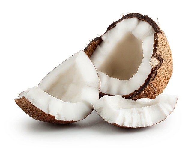 coconut scientific name