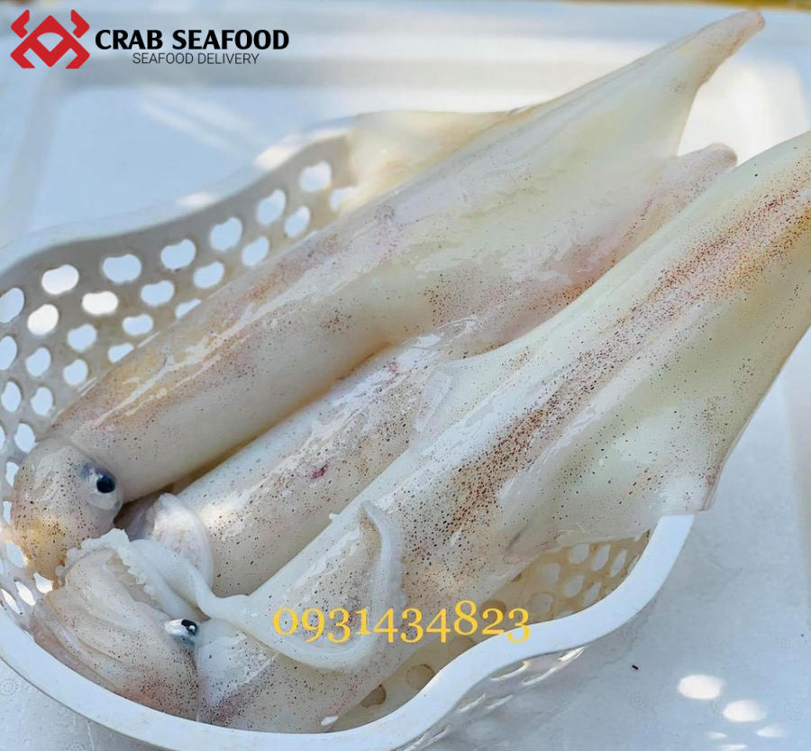 Mực ống tươi ngon