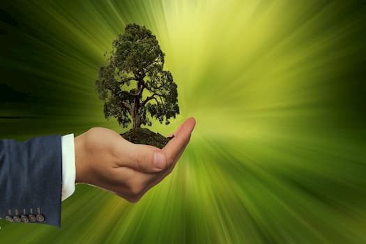 Marketing’s Environmental Impact: Traditional vs. Inbound