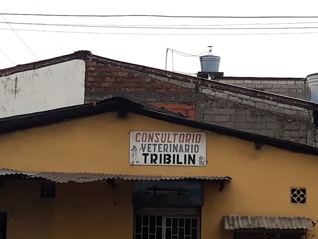 Consultorio Veterinario Tribilin - Guayaquil