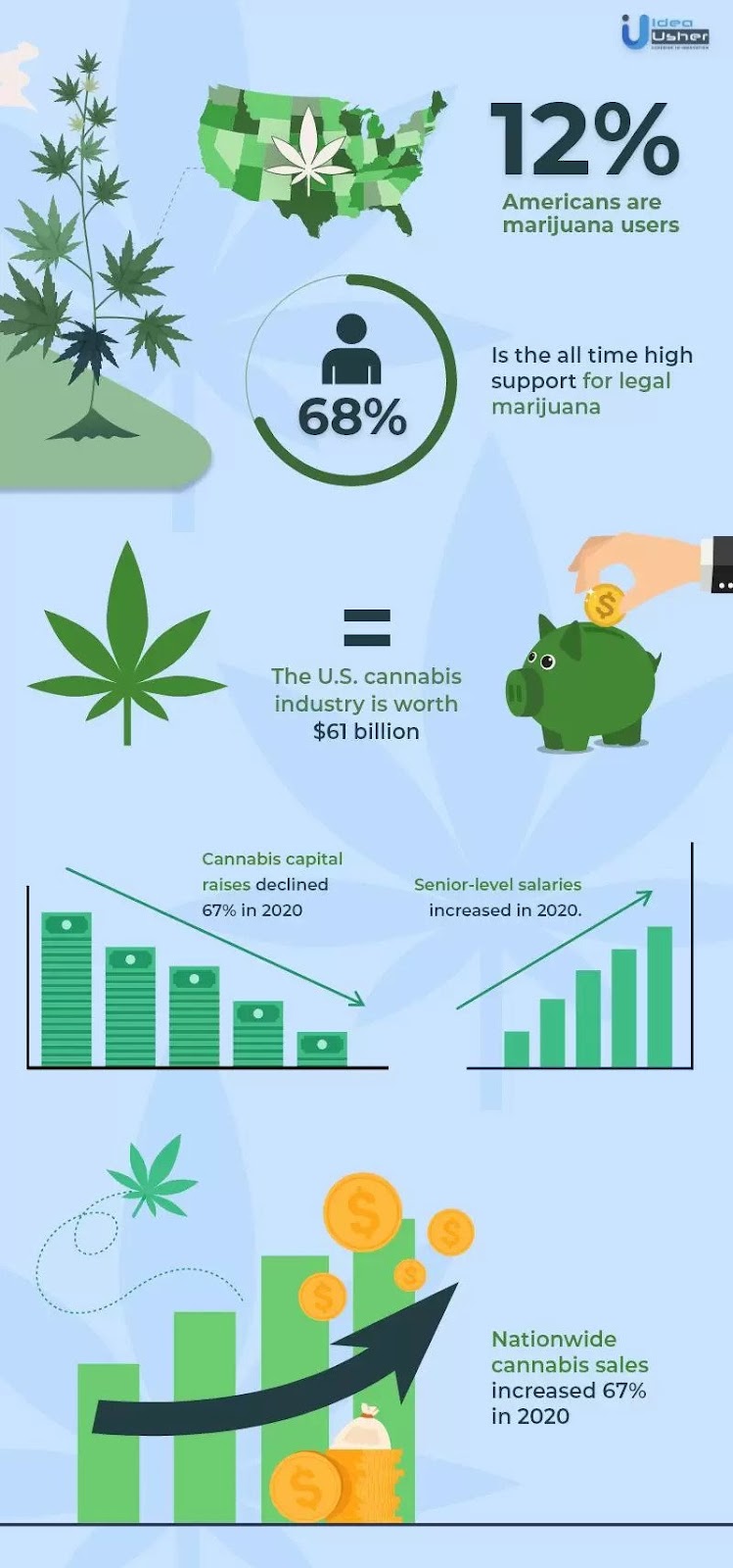 Marijuana market insight