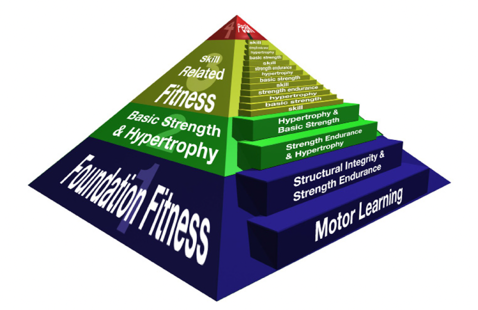 NESTA Certification Review [year] - NESTA PFT Certification 12